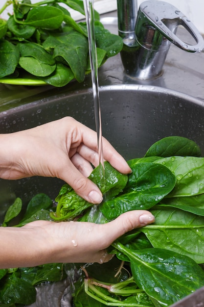 Mãos de mulher lavar espinafre na cozinha