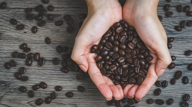 Mãos de mulher segurando grãos de café torrados, closeup