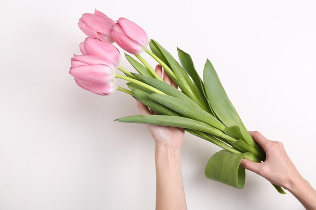 Mãos de mulher segurando um buquê de tulipas cor de rosa em um fundo branco