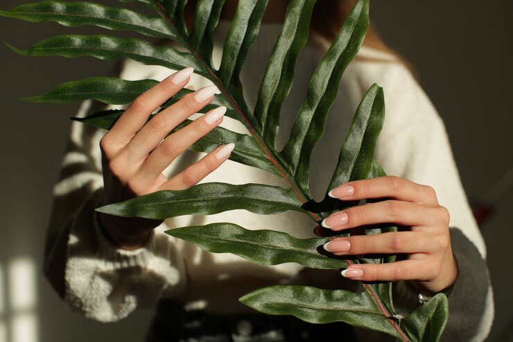 Mãos de mulheres bonitas com uma manicure delicada seguram uma planta verde. Foto de alta qualidade
