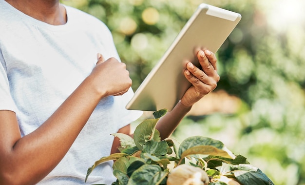 Foto mãos de mulheres negras e tablet em pesquisa agrícola para ecologia ou sustentabilidade na fazenda mão de mulher afro-americana segurando tela sensível ao toque para crescimento ou agricultura rural sustentável