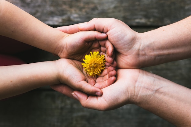 Mãos de pais e filhos entregando flores