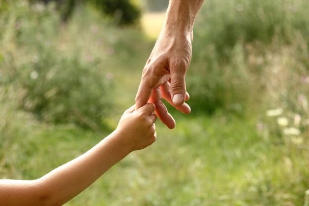 Mãos de pais e filhos na natureza