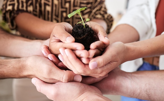 Mãos de plantas de sustentabilidade de economia verde e crescimento global do trabalho em equipe com esperança, ajuda e confiança para o futuro da terra, comunidade e sucesso do meio ambiente Diversidade do planeta inovação e responsabilidade