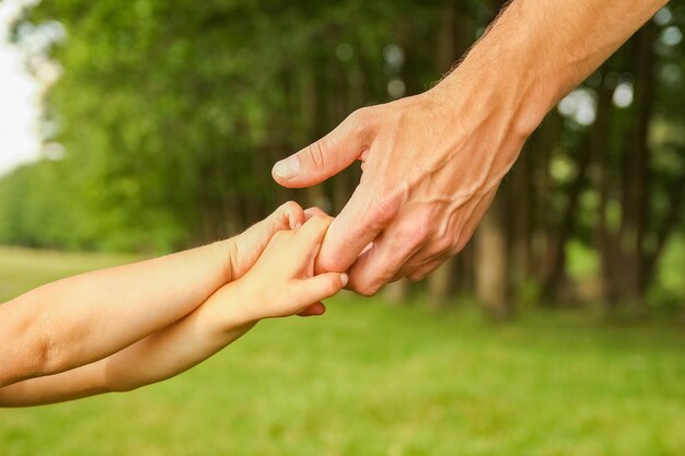 Mãos de um pai e filho felizes na natureza