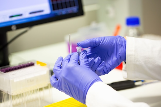 Foto mãos de um pesquisador científico em luvas azuis fechando um pequeno tubo de ensaio em laboratório