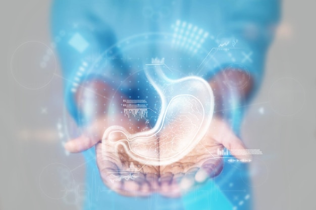 Mãos do médico de conceito médico em um casaco azul closeup e holograma de estômago Ultra-som de raio X do estômago Consulta médica de anatomia de cuidados médicos mídia mista