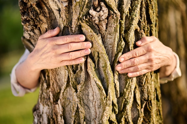 Mãos femininas abraçando uma árvore no parque
