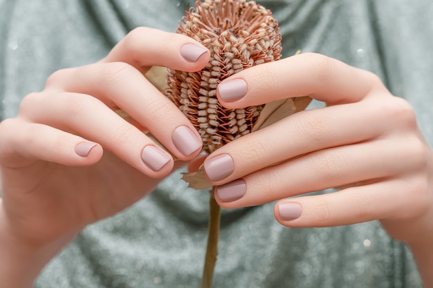 Mãos femininas com design de unhas bege. Mãos femininas segurando uma flor marrom de outono. Mulher com as mãos no fundo de tela prata.