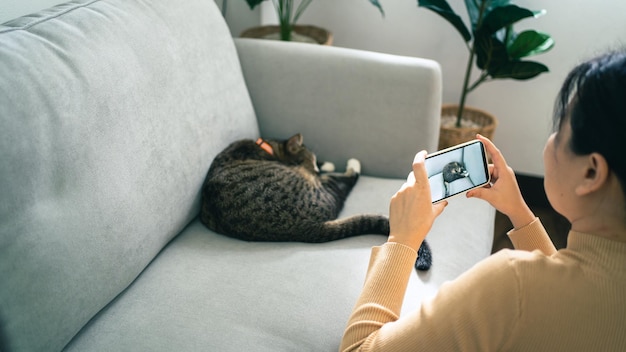 Mãos femininas de amantes de gatos tirando fotos de seu adorável gato em casa amizade conceito de estilo de vida de amante de animais