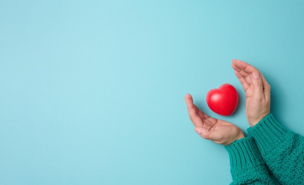 Mãos femininas detém um coração vermelho, fundo azul. Conceito de amor e doação, cópia espaço, vista superior