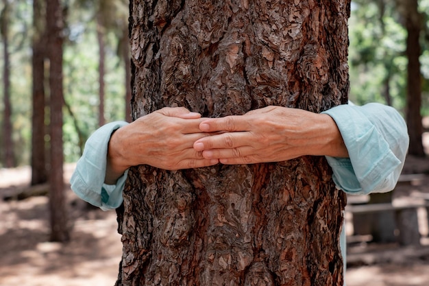Mãos femininas humanas abraçando um tronco de árvore na floresta amam o ar livre e a natureza no dia da terra