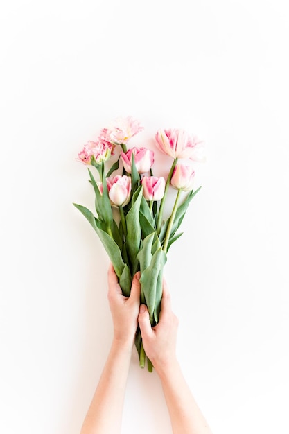 Mãos femininas seguram flores de tulipa cor de rosa sobre fundo branco conceito floral mínimo vista de cima plana