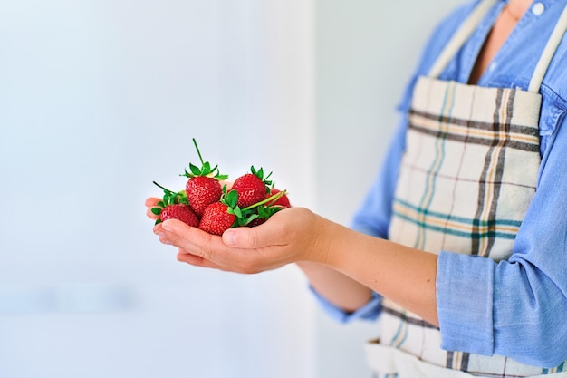 Mãos femininas segurando morangos orgânicos maduros frescos