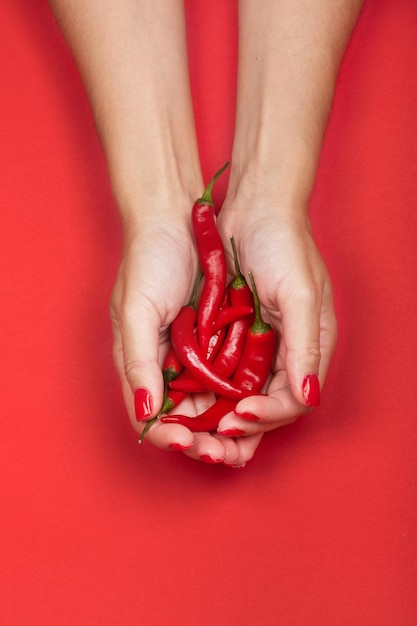 Mãos femininas segurando um punhado de pimenta malagueta vermelha fresca