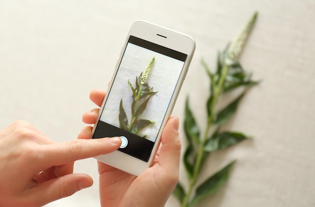 Mãos femininas tirando foto de planta com smartphone