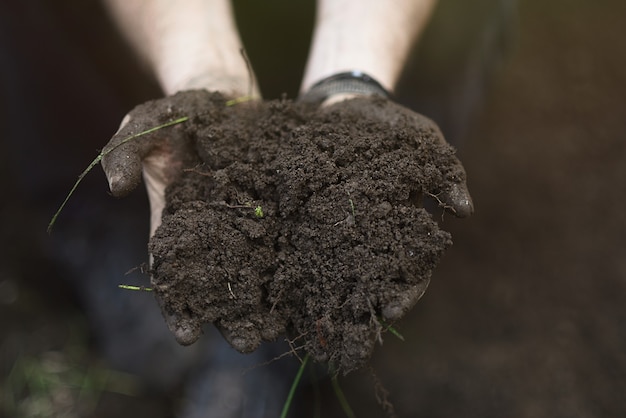 Mãos humanas com terra para o jardim
