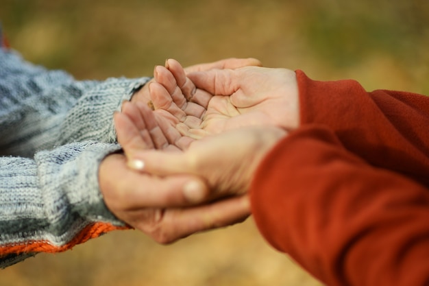 Mãos juntas sobre folhas caídas