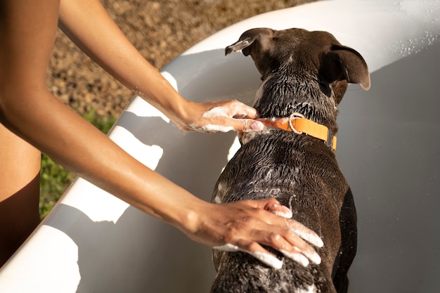 Foto mãos lavando cachorro fofo alto ângulo