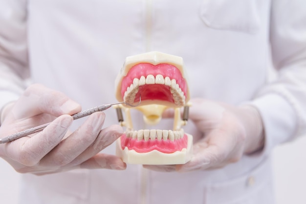 Foto mãos luvas de um dentista segurando uma prótese artificial apontando sua ferramenta de trabalho para o dente