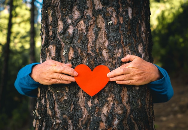 Mãos masculinas abraçando um tronco de árvore na floresta segurando papel em forma de coração Respeito pela natureza salvar o planeta do conceito de desmatamento