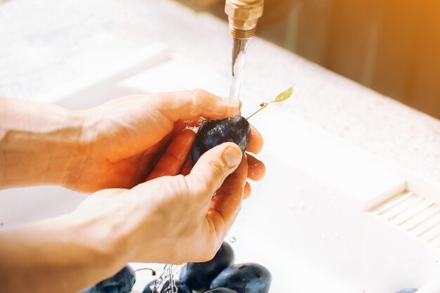 mãos masculinas de close-up lavando ameixas maduras sob a torneira, colheita, alimentos orgânicos limpos e saudáveis, vegetais