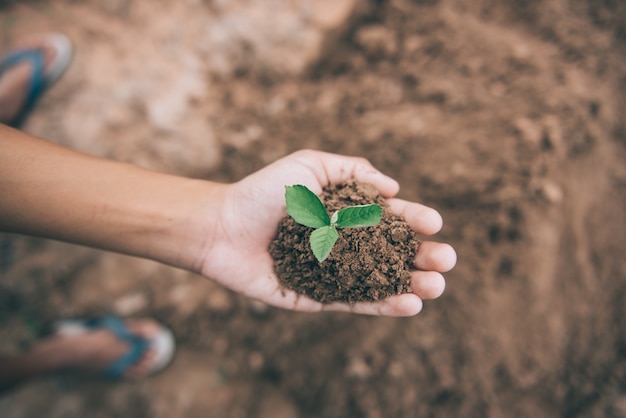 Mãos masculinas plantando árvores novas. Conceito de ambiente de Ecologia de Fundo de Natureza