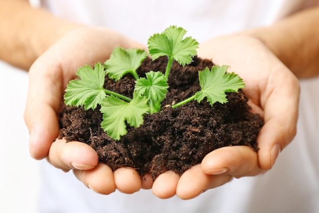 Mãos masculinas segurando solo e planta closeup