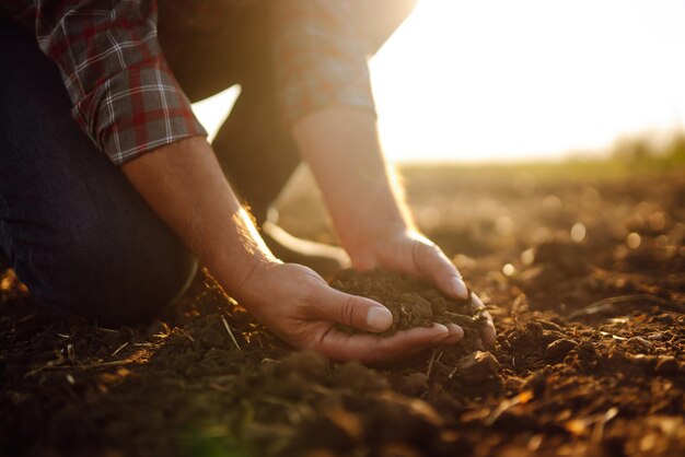 Mãos masculinas tocando o solo no campo Mão especialista do agricultor verificando a saúde do solo antes do crescimento