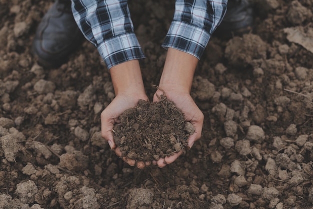 Mãos masculinas tocando o solo no campo Um agricultor verifica a qualidade do solo antes de semear Jardinagem agrícola ou conceito de ecologia