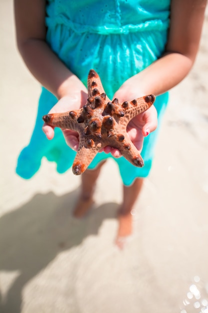 Mãos miúdo, segurando, starfish