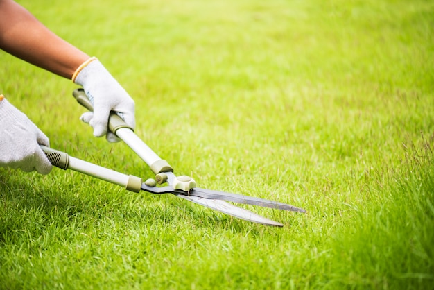 Mãos que guardam as tesouras de jardinagem na grama verde. conceito de jardinagem.