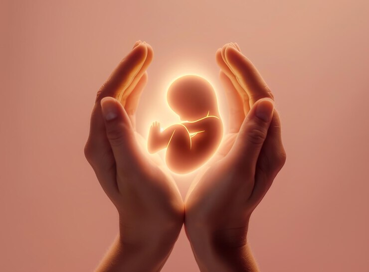 Foto mãos segurando a silhueta brilhante de um conceito de gravidez fetal