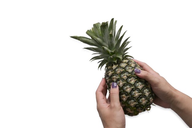 Mãos segurando abacaxi em fundo branco com espaço de cópia conceito de frutas tropicais de verão