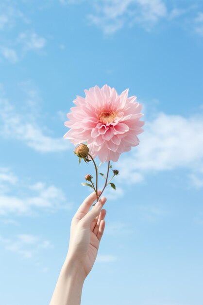 Mãos segurando flores isoladas no fundo do céu