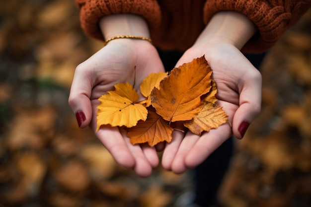 Mãos segurando folhas de outono