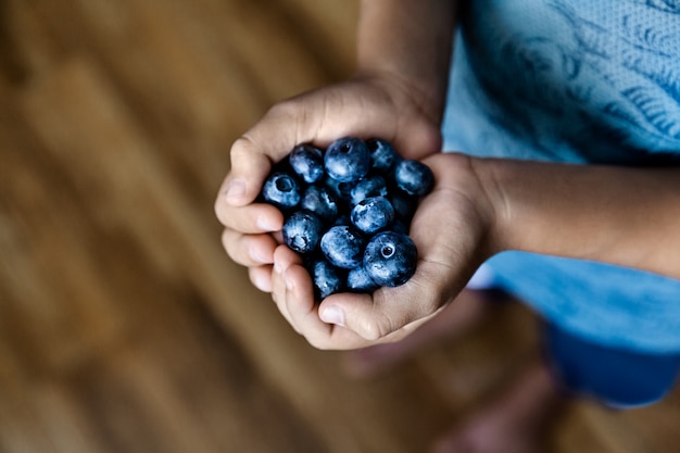 Mãos segurando mirtilos frescos orgânicos, colheita de verão e alimentação saudável