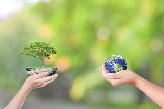 Mãos segurando o globo terrestre e a árvore sobre a natureza. Salvando o conceito de ecologia mundial