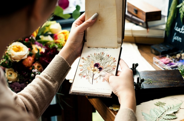 Foto mãos, segurando, secado, livro flor