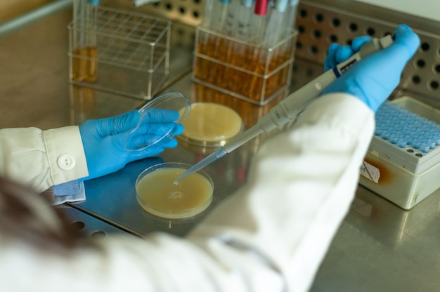 Mãos trabalhando em laboratório