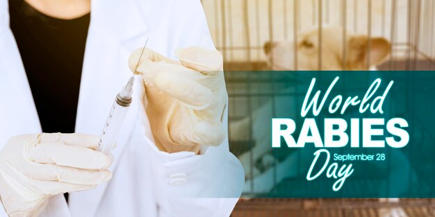 Mãos veterinárias femininas com texto do dia mundial da raiva