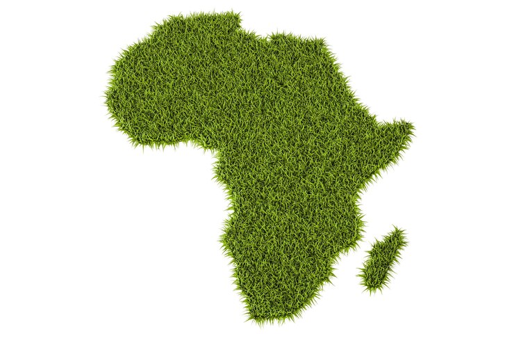 Foto mapa de áfrica desde la hierba verde en 3d