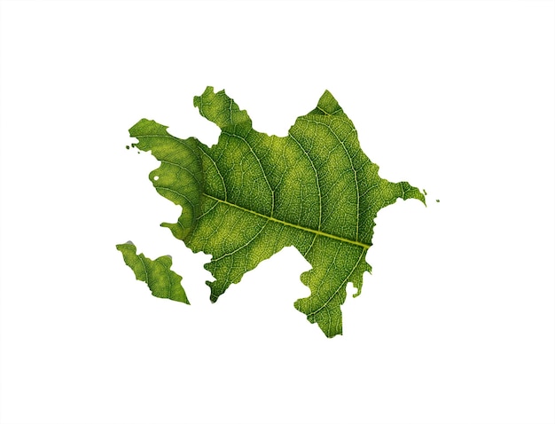 Mapa de Azerbaiyán hecho de hojas verdes concepto ecología Mapa hoja verde sobre fondo de suelo