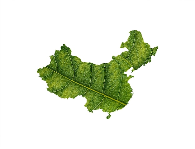 Mapa de China hecho de hojas verdes sobre el concepto de ecología de fondo del suelo