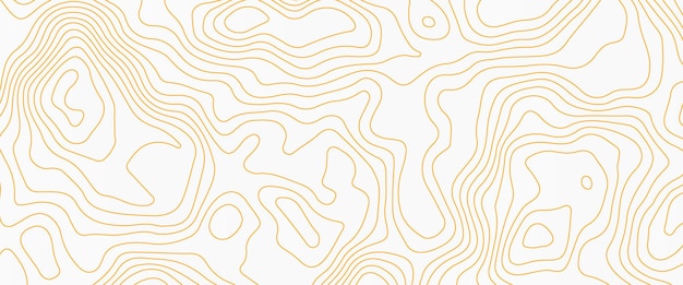 Mapa de contorno de la línea superior Fondo mapa de cuadrícula geográfica
