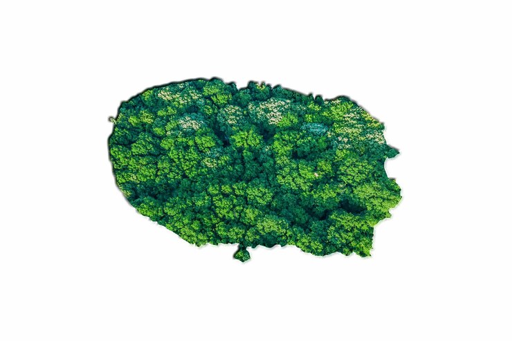 Foto mapa da floresta verde da ilha bouvet, sobre fundo branco