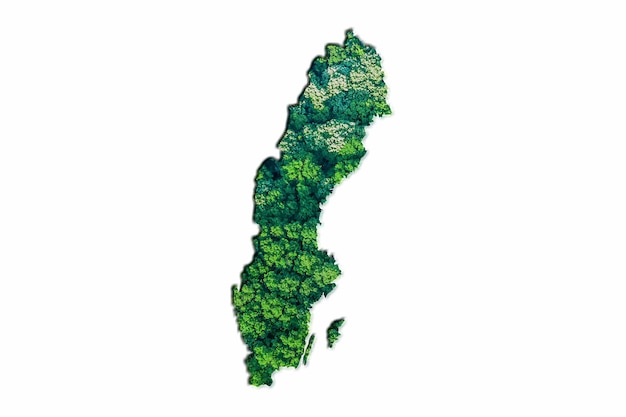 Mapa da Floresta Verde da Suécia, sobre fundo branco