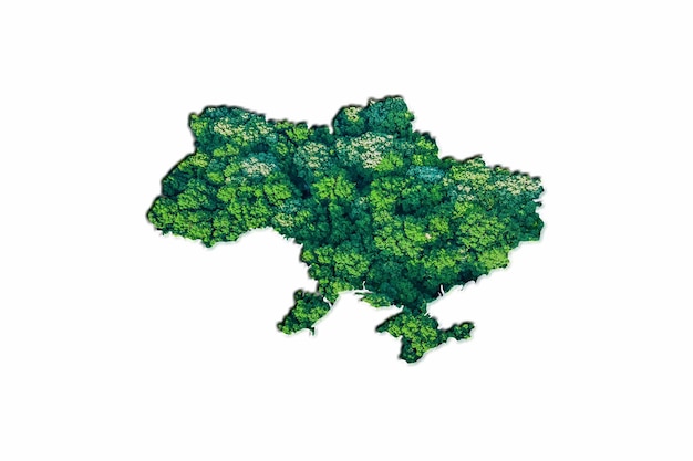 Mapa da floresta verde da Ucrânia, sobre fundo branco