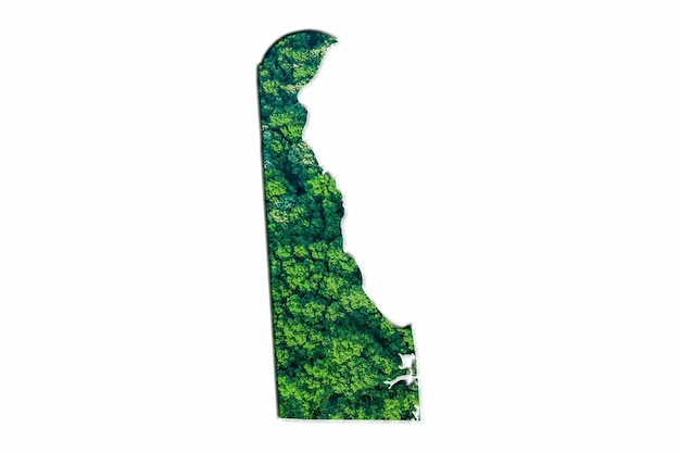 Mapa da floresta verde de delaware, em fundo branco