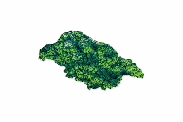 Mapa da floresta verde de Pitcairn, sobre fundo branco